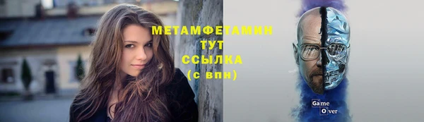 шишки Верея
