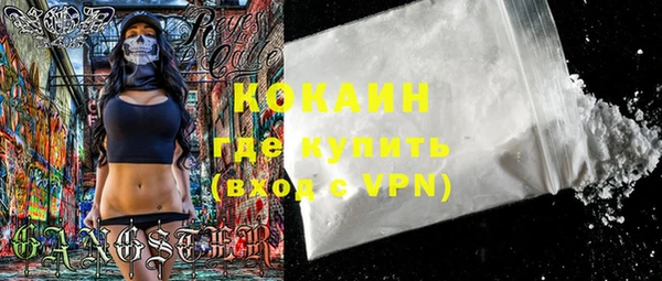 шишки Бронницы