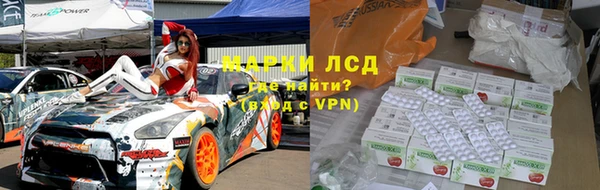 ГАЛЛЮЦИНОГЕННЫЕ ГРИБЫ Сосновый Бор