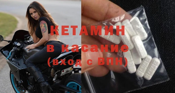 шишки Верея