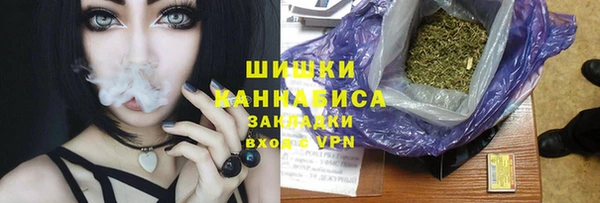 крисы Бугульма